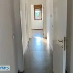 Affitto 4 camera appartamento di 150 m² in Latina