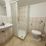 Rent 19 bedroom apartment of 375 m² in Székesfehérvár