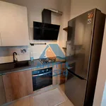 Rent 1 bedroom apartment of 50 m² in Pisa