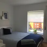 Rent 3 bedroom apartment in Porto