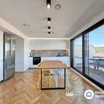 Rent 5 bedroom apartment of 92 m² in Brno