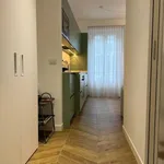 Rent 1 bedroom apartment of 45 m² in milano