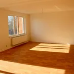 Rent 2 bedroom apartment in Puurs-Sint-Amands