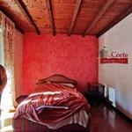 Affitto 5 camera casa di 320 m² in Caronno Pertusella