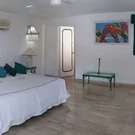 Rent 9 bedroom house of 1564 m² in Guerrero