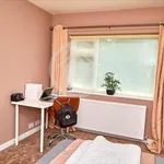 Rent 1 bedroom flat in Leicester