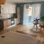 Rent 1 bedroom apartment of 50 m² in Torino