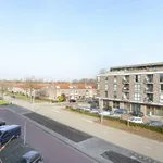 Huur 4 slaapkamer appartement van 85 m² in Populierenbuurt