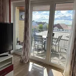 Rent 1 bedroom house in Haag