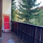 Rent 2 bedroom apartment of 49 m² in Madesimo