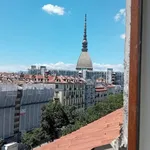 Rent 1 bedroom apartment of 30 m² in Torino