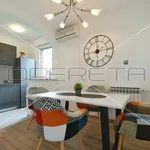 Rent 2 bedroom apartment of 58 m² in Zagreb