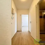 Rent 2 bedroom apartment in Brno