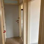 Huur 1 slaapkamer appartement in Liège