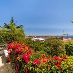 Rent 1 bedroom apartment in lisbon