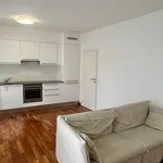 Miete 1 Schlafzimmer wohnung von 65 m² in Chiasso