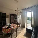 Rent 5 bedroom apartment of 120 m² in Bologna