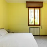 Rent 1 bedroom apartment of 65 m² in Bologna