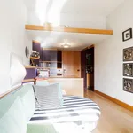 Rent 1 bedroom apartment in Florence