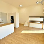 Rent 1 bedroom apartment of 46 m² in Šternberk