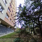 Pronajměte si 1 ložnic/e byt o rozloze 30 m² v Prague