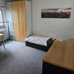 Rent 1 bedroom apartment of 100 m² in Brno