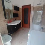 Rent 3 bedroom apartment of 100 m² in Piacenza