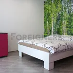 Rent 1 bedroom apartment of 36 m² in Brno