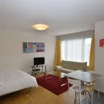 Miete 1 Schlafzimmer wohnung von 35 m² in Zürich