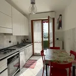 Rent 3 bedroom apartment of 95 m² in Milano