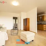 Rent 3 bedroom apartment of 70 m² in Praha