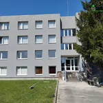 Rent 2 bedroom apartment of 49 m² in Dnešice