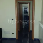 Rent 2 bedroom apartment of 65 m² in Frosinone