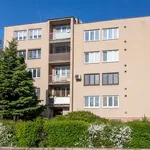 Rent 3 bedroom apartment of 70 m² in breclav