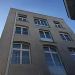 Rent 1 bedroom apartment in Mechelen