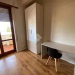 Affitto 1 camera appartamento di 15 m² in Latina