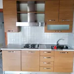 Rent 1 bedroom apartment of 40 m² in Bergamo