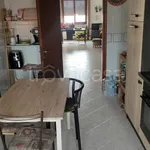 Rent 3 bedroom apartment of 90 m² in Novara