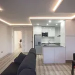 Rent 1 bedroom apartment in madrid