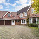 Rent 5 bedroom house in South East England