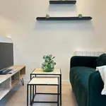 Rent 1 bedroom apartment of 30 m² in madrid