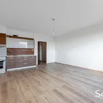 Rent 1 bedroom apartment in Plzeň