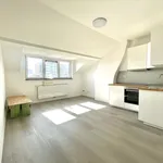  appartement avec 1 chambre(s) en location à Liège