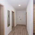 Pronajměte si 1 ložnic/e byt o rozloze 104 m² v Prague