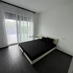 Rent 2 bedroom apartment of 50 m² in Debrecen