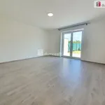 Rent 1 bedroom house of 409 m² in Tuhaň