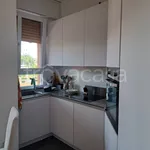 Rent 2 bedroom apartment of 60 m² in Milano