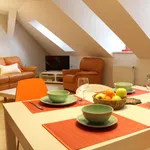 Rent 3 bedroom apartment of 125 m² in Prague