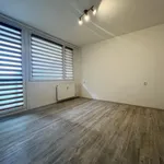 Rent 3 bedroom apartment in Nýřany