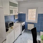 Rent 2 bedroom apartment of 55 m² in Timișoara